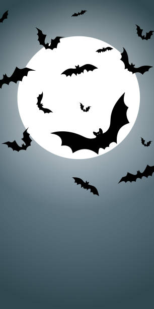 istock Vector. Halloween background with bats, holiday decorations. Flying bats, full moon. Halloween party invitation card mockup. Happy Halloween banner design. Flat lay, top view, copy space. 2184731396