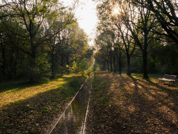 Parco Nord, public park at Milan, Lombardy, Italy, in November