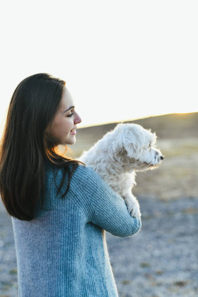 istock Female Pet Owner Holding Her Maltese Dog While Both Looking Sideways Enjoying Sunset 2184735590