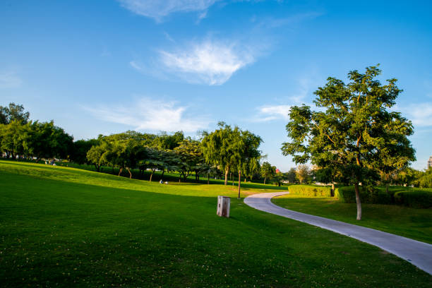 istock Katara Green Hills - park in Qatar. 2184736983