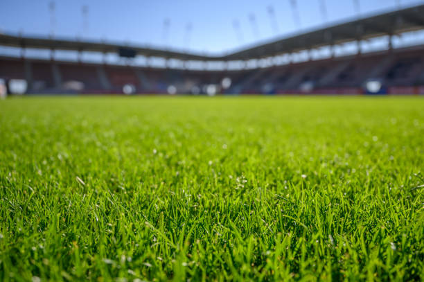 beautiful wet natural grass - terrenos espacio creado por el hombre fotografías e imágenes de stock
