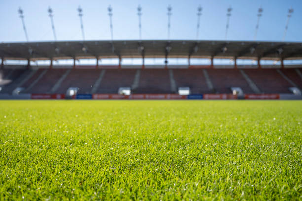 istock Beautiful wet natural grass 2184740223