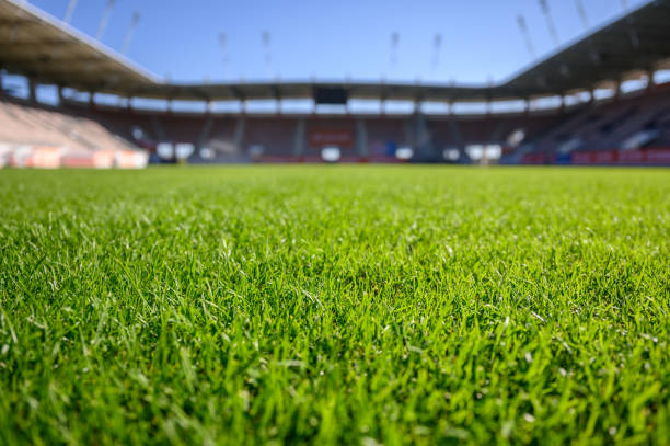 Football pitchwith green meadow