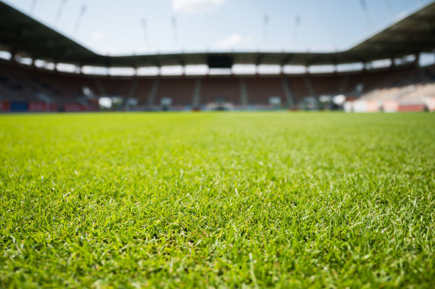 istock Grass at the football stadium 2184743383