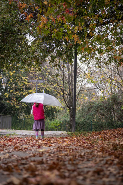 A young girl holding a transparent umbrella stands on a leaf-covered path in a park during autumn, surrounded by colorful trees. She enjoys the peaceful ambiance of a cloudy day.