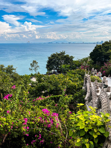 istock Panoramic view of Da Nang from Son Tra Mountain 2184745649