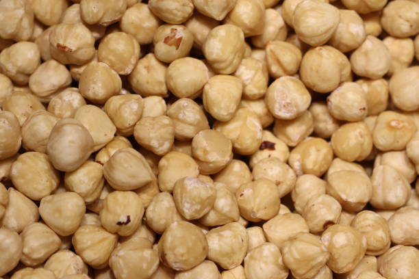 istock Raw Hazelnuts Are Perfect For Snacking, Baking, And Creating Delicious Culinary Delights 2184747185