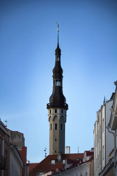 November 14 2024 Tallinn Town Hall and Old Thomas over sky