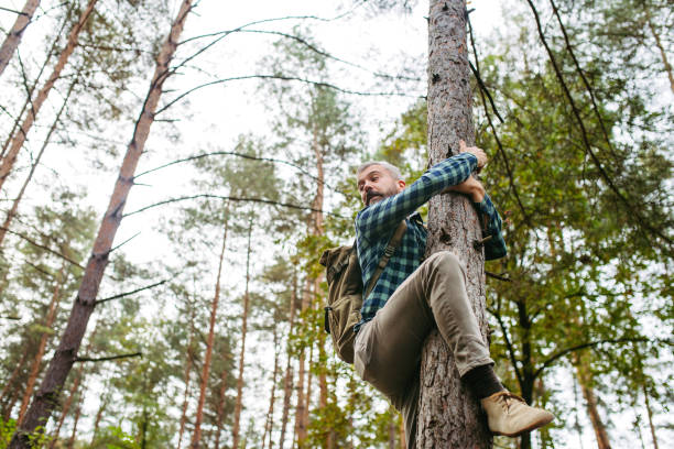 istock Frightened man is hiding from bear on a tree, holding on the trunk with hands and feet. 2184751302