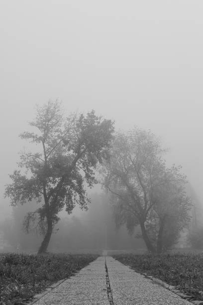 istock Fog in the city 2184753170