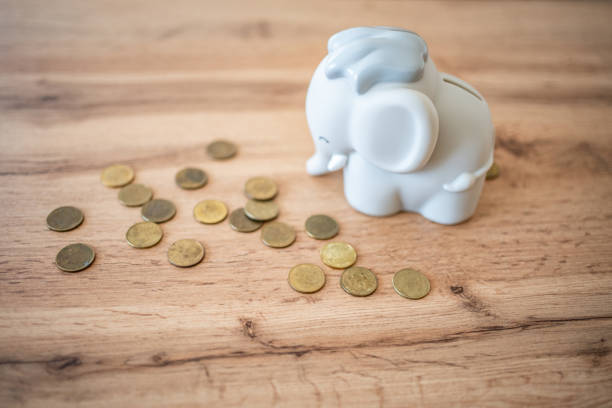 A piggy bank elephant sits on the table, symbolizing the beginning of saving and planning for the future. With its cute look, this piggy bank makes saving fun and inspiring. Ideal for topics about learning to save, motivation and practical as well as decorative items.