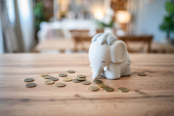 A piggy bank elephant sits on the table, symbolizing the beginning of saving and planning for the future. With its cute look, this piggy bank makes saving fun and inspiring. Ideal for topics about learning to save, motivation and practical as well as decorative items.