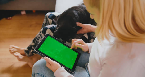 istock Casual Tech Time with Pet Companion 2184756505