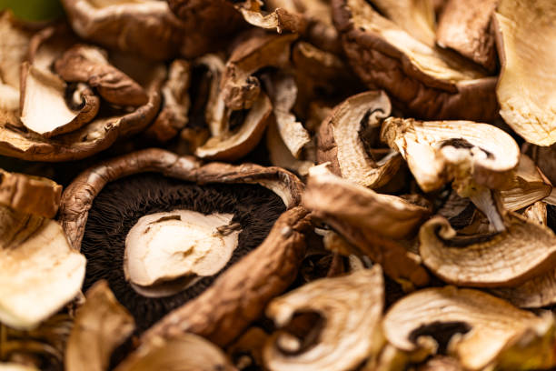 Dried mushrooms with a concentrated, earthy taste, perfect for adding richness to sauces, broths, and casseroles. Part of a food series.