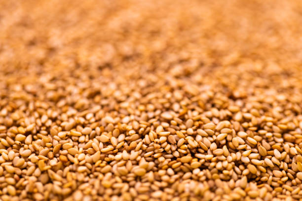 Texture of a freshly baked hamburger bun showcasing golden color and scattered sesame seeds on a soft surface
