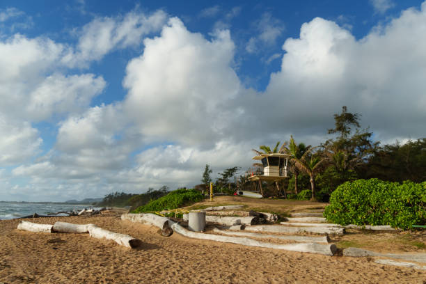 istock Tropical Beach Lifeguard Station with sandy beach and palm trees. 2184759398