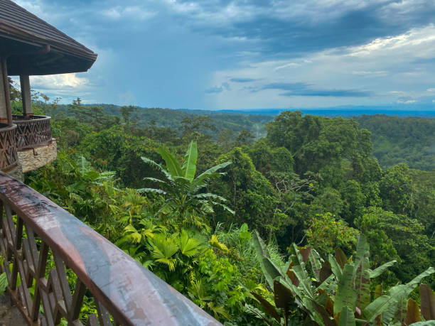 istock Cabana balcony railing in jungle rainforest tree line with cloudy skies 2184760871