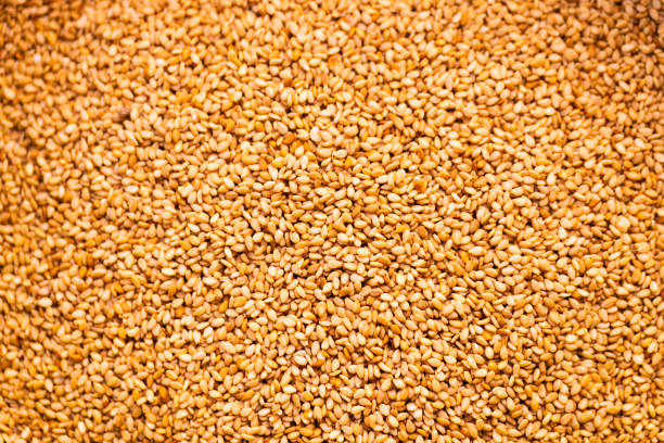 istock Sesame seeds showcasing their fine texture 2184761076