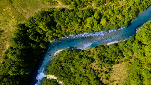 A tranquil blue river meandering through dense, vibrant green forest.