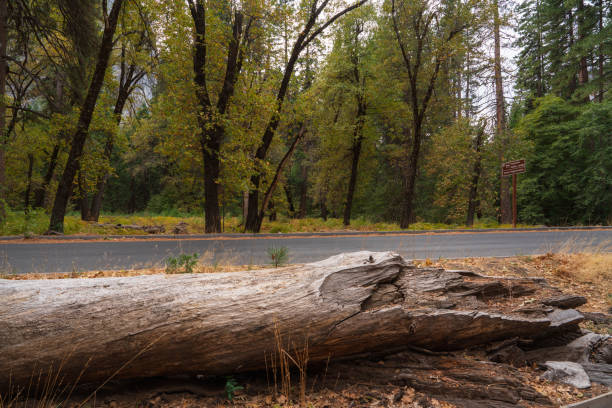 Lassen County, CA - July 9, 2019: Entrance sign for Lassen Volcanic National Park - Manzanita Lake entrance