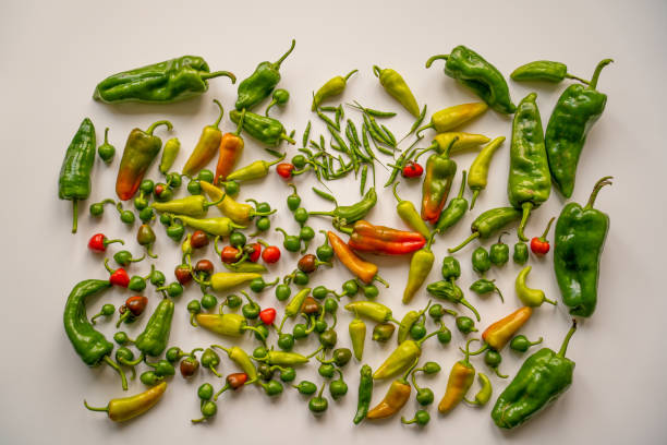 Collection of various kinds of peppers