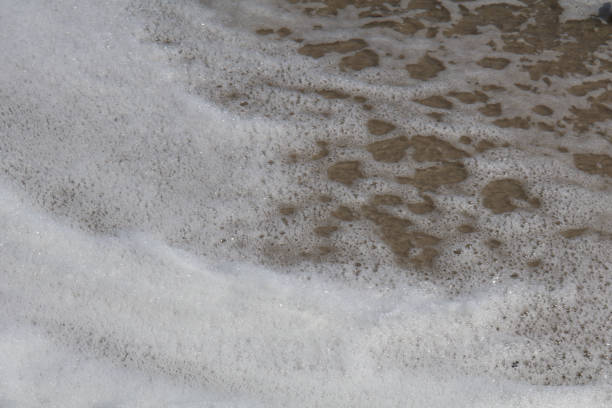 Close-up of foamy sea water washing onto sandy beach, creating textured bubbles and layers of white foam over wet sand. Ideal for themes of coastal textures, water, and nature details.