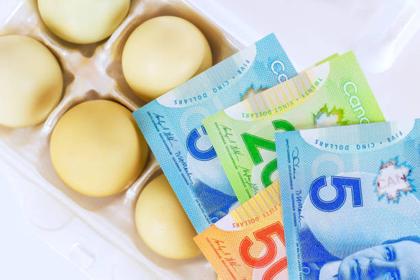 Carton eggs sits next to a stack of Canadian dollar bills highlighting everyday expenses value since prices have risen for chicken egg