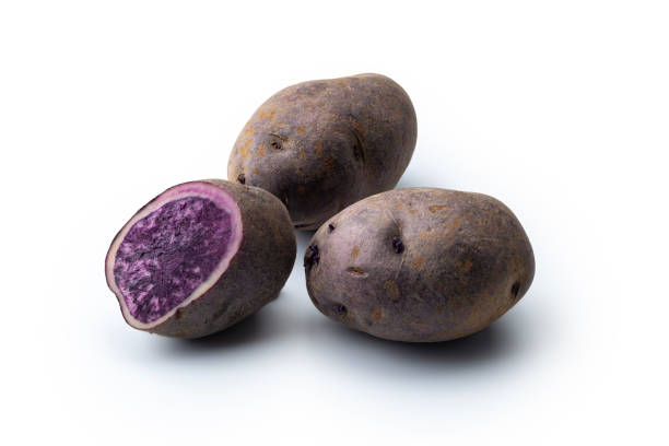 Three Vitelotte purple potatoes  Two whole and one sliced in  half, isolated on white background.  studio shot.