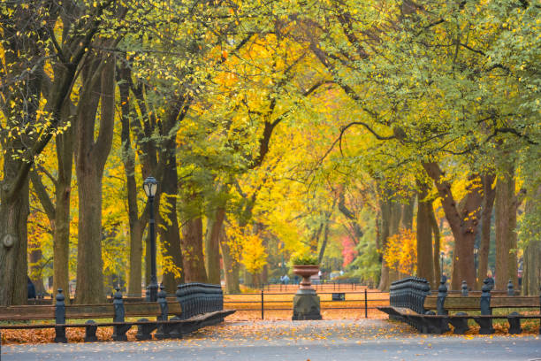 istock Central Park Scene with Autumn Leaves in NYC 2184774261