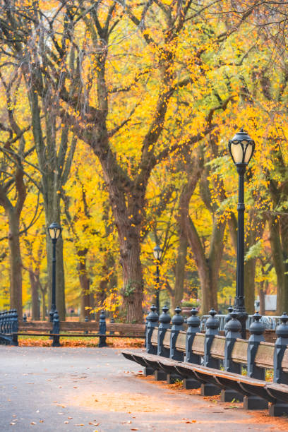 istock Central Park Scene with Autumn Leaves in NYC 2184774489