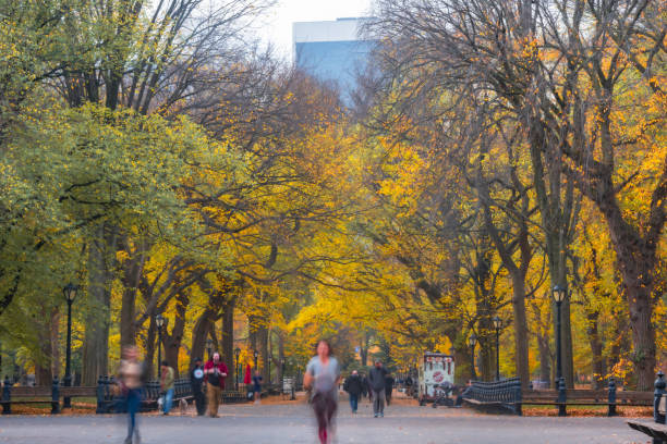 istock Central Park Scene with Autumn Leaves in NYC 2184774503