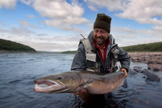 istock Fisherman holding a fresh caught big atlantic salmon 2184775188