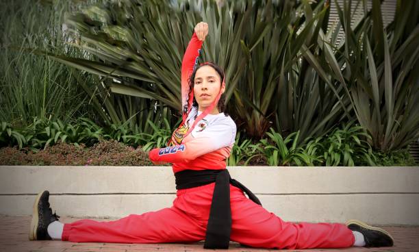 istock Artist in a Kung fu fighting stance. 2184776644