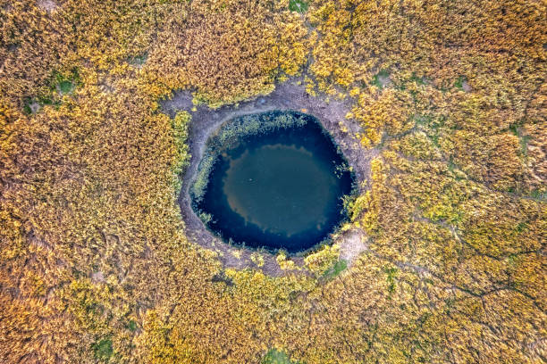 istock Small waterhole surrounded by many bushes seen from above 2184778857