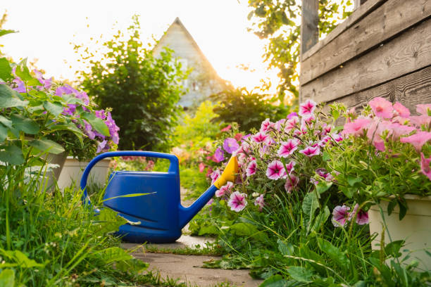 istock Farm worker gardening tools. Blue plastic watering can for irrigation plants placed in garden with flowers on flowerbed and flowerpot on sunny summer day. Gardening hobby agriculture concept. 2184781045