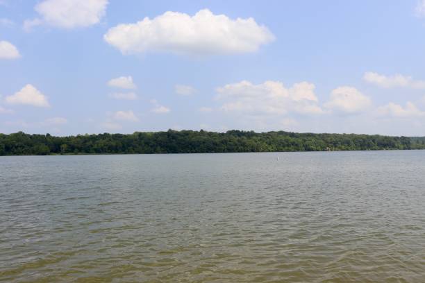 istock Lake in the Countryside 2184781107