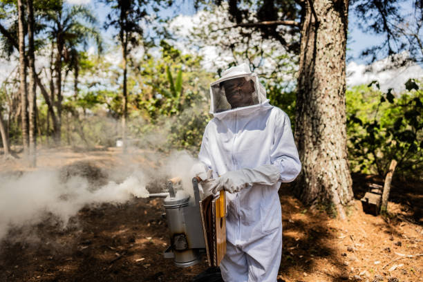 Portrait of a beekeeper working on an apiary