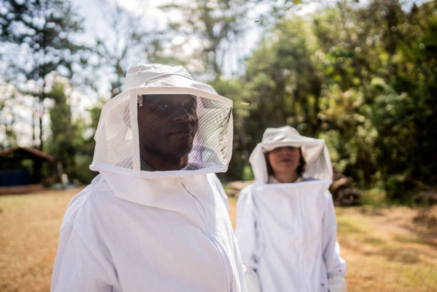 Portrait of a beekeeper on an apiary