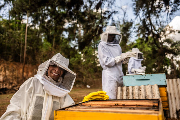 Portrait of a beekeeper on an apiary