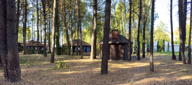 istock A wooded area with a cabin and a shed 2184785519