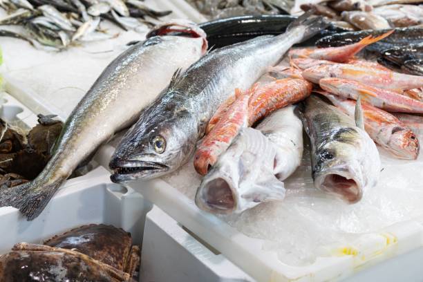 istock Fresh fish lying on ice is being sold at the market 2184788030