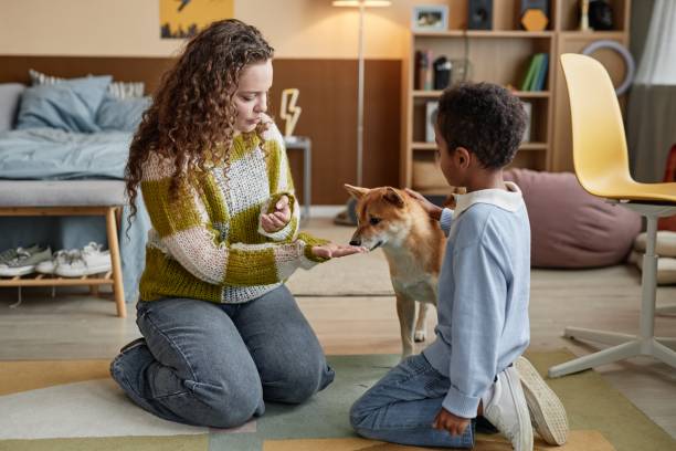istock Young Mother with Adopted Child Teaching Dog Tricks while Sitting on Floor in Bedroom 2184789209