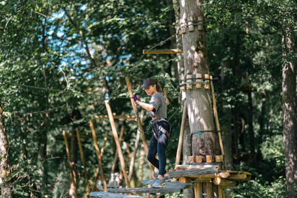 istock Enjoy an Adventurous Tree Climbing Experience in Beautiful Nature Like Never Before 2184793912