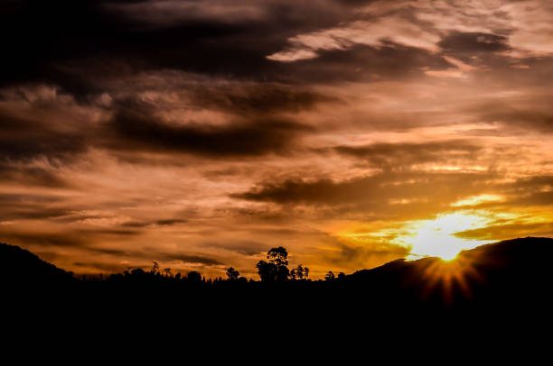 A beautiful sunset with a tree in the foreground. The sky is filled with clouds and the sun is shining brightly