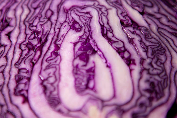 Half red cabbage for salad. Healthy nutrition. cooking organic food