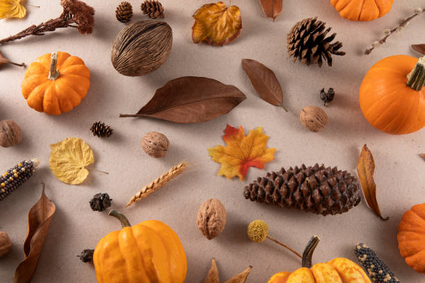 istock Autumn Background with Leaves and Pumpkins 2184799430