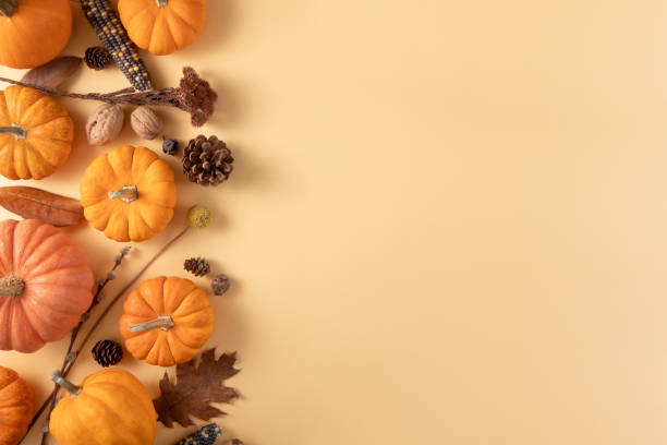 istock Thanksgiving Holiday Background with Pumpkins 2184799979