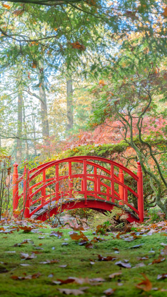 istock japanese garden with red bridge 2184800569