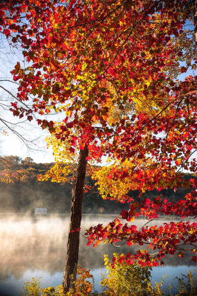 istock Sunrise by the lake 2184803182