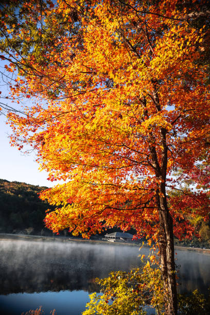 istock Sunrise by the lake 2184803199